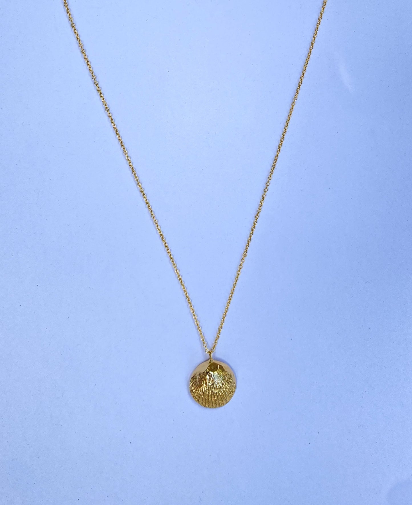 SCALLOP PENDANT